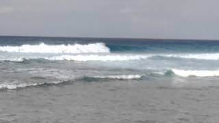 Surfing Brandons Barbados [upl. by Griffis]