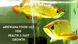 Arowana food list  Best food for arowana Raams Paarvai [upl. by Cornie]