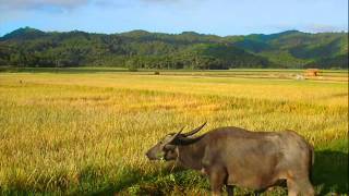 My Hometown Claveria in Cagayan Valley [upl. by Ennovoj]