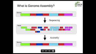 Fundamentals of Genome Assembly [upl. by Lourdes544]