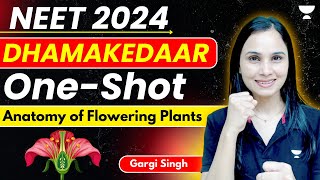 Anatomy of Flowering Plants  Dhamakedaar One Shot  Part2  NEET 2024  Dr Gargi [upl. by Jenny]