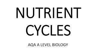 NUTRIENT CYCLES  AQA A LEVEL BIOLOGY  EXAM QUESTIONS RUN THROUGH [upl. by Griselda]