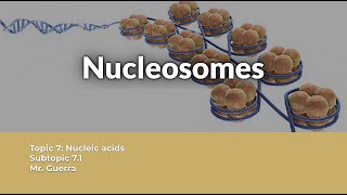 QUESTION SOLVED Nucleosome structure and functions  IB Biology Topic 7 [upl. by Esihcoc]