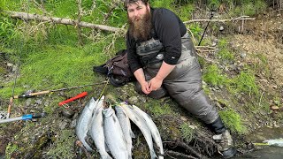 Kenai river Alaska non stop sockeye salmon action Soldotna river center fishing for red salmon [upl. by Ecirtel]