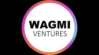 Investing at the Edge of Crypto Innovation with Ani Pai Dragonfly  WAGMI Ventures Podcast [upl. by Arlo]