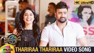 Balakrishnudu Movie Songs  Thariraa Thariraa Full Video Song 4K  Nara Rohit  Regina Cassandra [upl. by Halsy672]