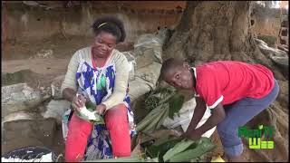 Produire le manioc et le transformer Quelques idées [upl. by Adlig370]