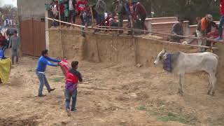 CORRIDA DE TOROS  TOTORA  COCHABAMBA  FEBRERO 2020 DIA 2 [upl. by Most849]