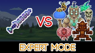 Terraria 135  Zenith Shortsword vs All Bosses Expert Mode [upl. by Estelle400]