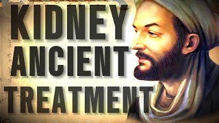 S1Eps4The Untold History Of Kidney Disease Treatment Across Civilization [upl. by Dalohcin]