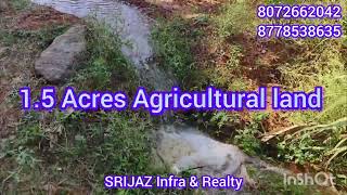 15 Acre Agricultural Land in Krishnagiri for sale [upl. by Purity]