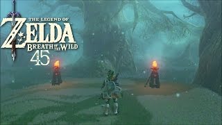 Der verlorene Wald  The Legend of Zelda Breath of the Wild 045 [upl. by Wilen]