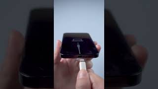 How to Restore iPhone shorts [upl. by Jeannine]