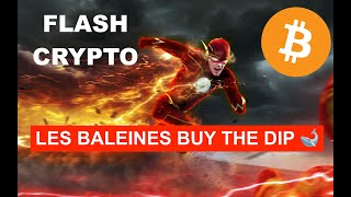 🚨 FLASH CRYPTO ⚡️ PEUR SUR LA VILLE CHEZ LES RETAILS 😱 LES BALEINES ACHETENT EN MASSE 🐋🐳 Analyse 🔎 [upl. by Brunella87]