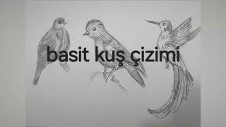 basit karakalem hayvan çizimi  kuş eskizi ve tonlama kolay karakalem birds drawing karakalem [upl. by Austreng607]