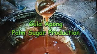 Gula Apong Palm Sugar Production In Kampung Semilang Beliong Sarawak Malaysia 砂拉越吻龙的尼帕棕榈糖亚答糖制作 [upl. by Nyral607]