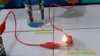 Praktikum Larutan Elektrolit dan Non Elektrolit Kimia SMA Kelas X  Strong Weak amp NonElectrolytes [upl. by Caughey]