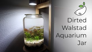 How To  Dirted Walstad Aquarium Jar [upl. by Byler984]