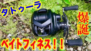 タトゥーラ80TWを激安でベイトフィネス化！！素晴らしかったです！！ [upl. by Kimber]