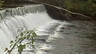 Keene NH Ashuelot River Park Crane on Rock [upl. by Nalrah]