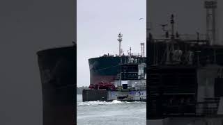 Wonderful 😉 vessel foryou shipengine boat viralvideo vessel tugboat shipping navyship au [upl. by Jackqueline]