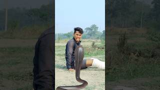 सांप का दर nagin funnyvideo shorts [upl. by Anuaik]