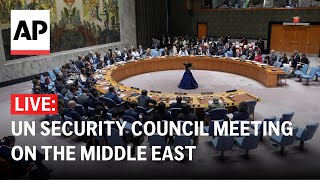 LIVE UN Security Council meeting on the Middle East [upl. by Leunam]