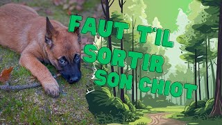 Peut on sortir son chien avant ses vaccins [upl. by Inalel301]