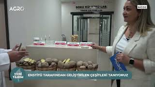 Patates Araştırma Enstitüsü Müdürlüğü Hangi Patates Çeşitleri Geliştiriliyor  YENİ TARIM [upl. by Niwre]