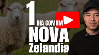 Rotina  Um dia COMUM Interior da Nova Zelândia [upl. by Neik]