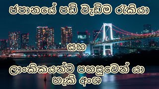 ජපානයේ සුපිරිම අංශ හා පඩි වැඩි රැකියා  highest paying jobs in Japan [upl. by Alieka862]