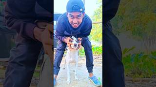 এর নাম চিতাবাঘ  😂🤣  minivlog vlog [upl. by Inhoj]