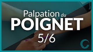 PALPATION DU POIGNET  Partie 5  Éléments musculaires latéraux et la tabatière anatomique [upl. by Nodnol166]