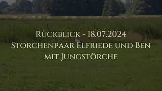 Rückblick  18072024  Storchenpaar Elfriede und Ben mit Jungstörche  Außenreporter Peter [upl. by Baudin]