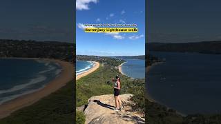 Barrenjoey Lighthouse Walk with scenic views of palm beach amp station beach shorts views travel [upl. by Ilke999]