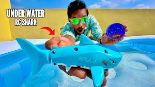 I Bought World’s Smallest Under Water RC Shark  Chatpat toy TV [upl. by Lange]