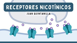 RECEPTORES NICOTÍNICOS Estimulantes y Bloqueantes Ganglionares  Farmacología [upl. by Orlanta]