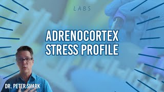 Labs Adrenocortex Stress Profile [upl. by Logan]