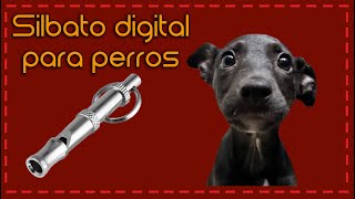 Silbato digital para perros [upl. by Eserehc666]