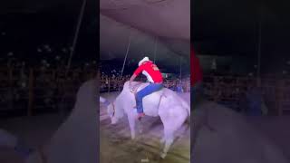 JERRY DE QUERÉTARO VS TORO EL GRAN KHALI jaripeo shorts [upl. by Epoillac201]