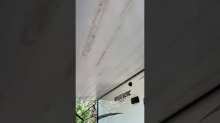 Venture RV awning cleaning mildew removal ￼ [upl. by Suhail]