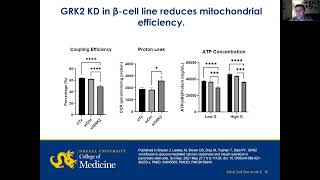 quotTitle GRK2 supports islet development andinsulin secretionquot [upl. by Mayeda]