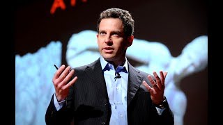 Sam Harris Destructive IQ Pseudoscience [upl. by Casey191]