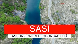 Sasi assunzioni di responsabilità [upl. by Gilliam557]