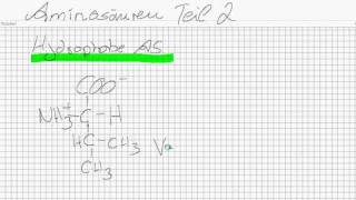 Aminosäuren Teil 2 12 [upl. by Atiseret735]