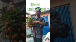 litchi unlimited mini vlog minivlog nepalivloger [upl. by Rees]