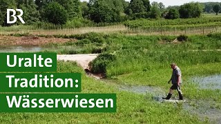 Wässerwiesen Tradition zur Bewässerung von Wiesen in der Fränkischen Schweiz  Unser Land  BR [upl. by Byrne473]