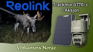 VILTKAMERA I AKSJON  Reolink Trackmix G770c [upl. by Ykvir]