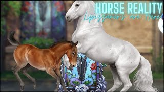 Horse Reality  Working on My Foundation Lipizzaners  I Found a Rare Foal  Livestream 6 [upl. by Erhard951]