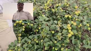 karyon farming agriculture  बोर  रिझल्ट 8208770409 [upl. by Riehl]